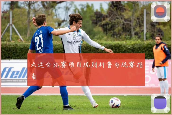 大运会比赛项目规则科普与观赛指南