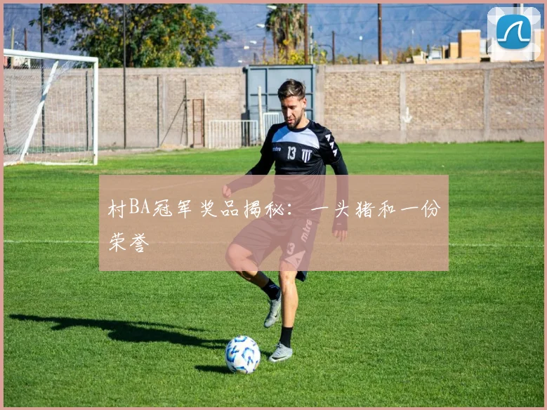 村BA冠军奖品揭秘:一头猪和一份荣誉