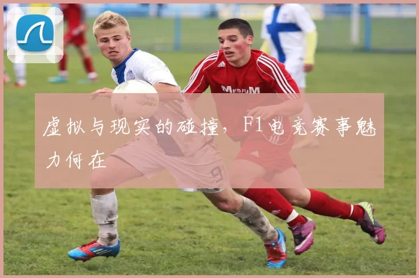 虚拟与现实的碰撞,F1电竞赛事魅力何在