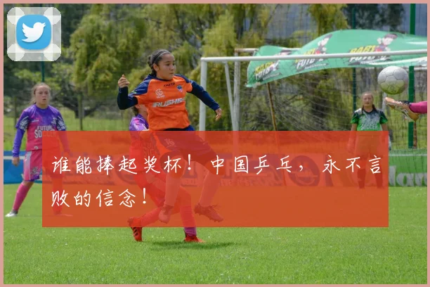 谁能捧起奖杯！中国乒乓，永不言败的信念！