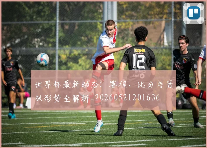 世界杯最新动态:赛程、比分与晋级形势全解析_20260521201636